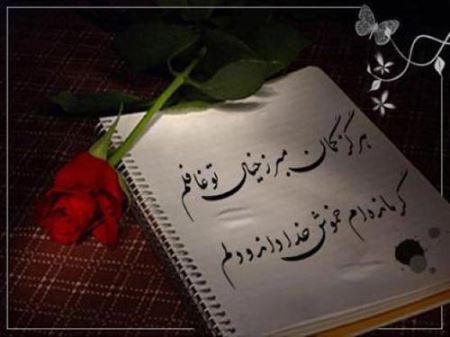 عکس های رمانتیک وعاشقانه (7)