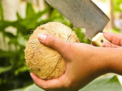 آموزش تصویری روش باز کردن نارگیل