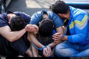 انهدام باند توزیع گوشت الاغ در تهران (تصاویر) انهدام باند توزیع گوشت الاغ در تهران (تصاویر)