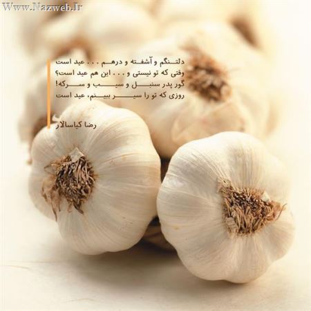 عاشقانه ای متفاوت ! (تصویری)