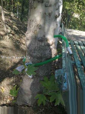 خنده دارترین و باحال ترین سوتی های جدید ایرانی (18)