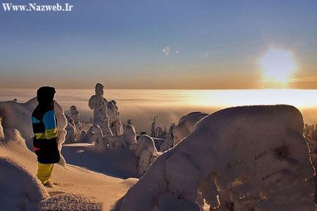 عکس هایی از جنگل یخ زده واسرارآمیز فنلاند زادگاه بابانوئل!