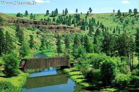 عکس های ویژه و بسیار دیدنی روز (1)