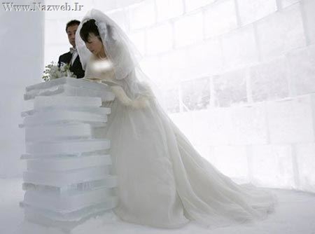 احمقانه ترین وخنده دارترین پیوندهای زناشویی (عکس)