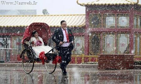 احمقانه ترین وخنده دارترین پیوندهای زناشویی (عکس)