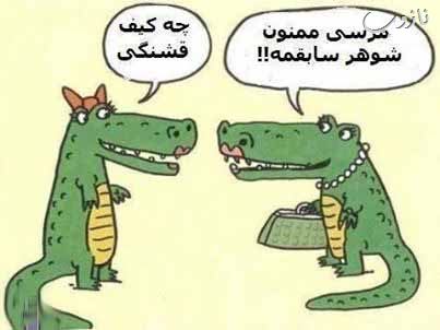 یه عالمه عکس خنده دار و جدید