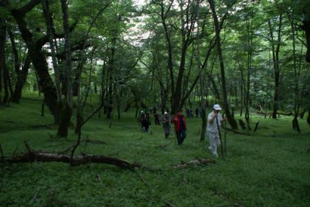 بهترین مکان های دیدنی ایران برای نوروز 94 در نازوب (عکس)