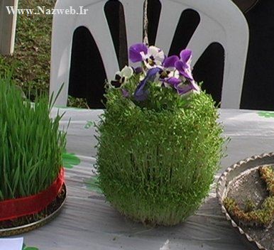 آموزش درست کردن 3 مدل سبزه برای عید نوروز (عکس)