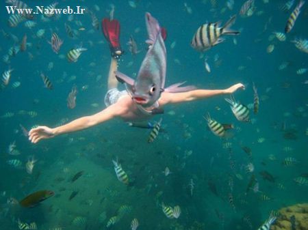عکس های خنده دار و خفن از شکار لحظه ها
