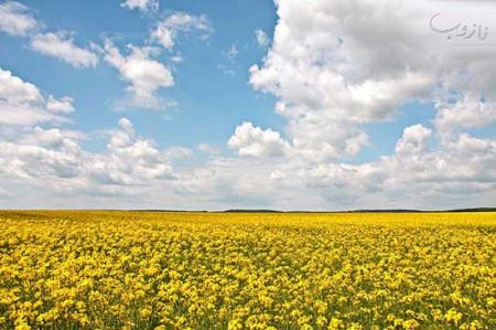 رویایی ترین بهار را در این مکان ها تجربه کنید (عکس)