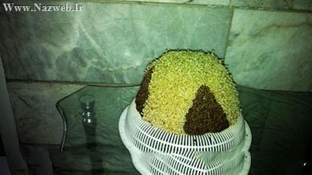 آموزش تصویری درست کردن سبزه دو رنگ برای نوروز