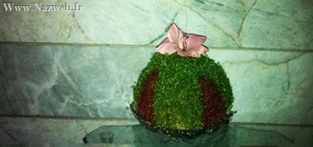 آموزش تصویری درست کردن سبزه دو رنگ برای نوروز