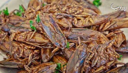 چندش آورترین بستنی دنیا (عکس)