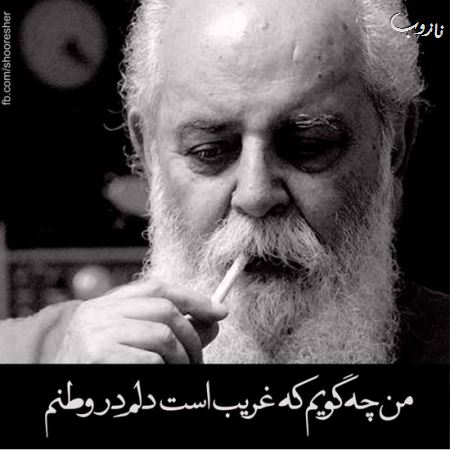 مینی شعرهای تصویری (1)