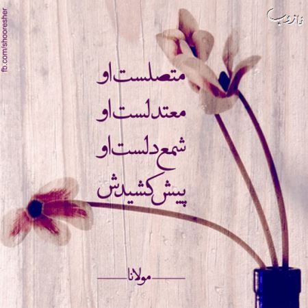 مینی شعرهای تصویری (1)