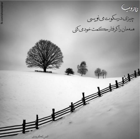 مینی شعرهای تصویری (1)