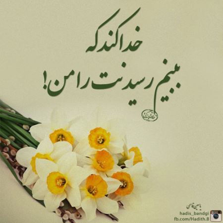 مینی شعرهای تصویری (2)