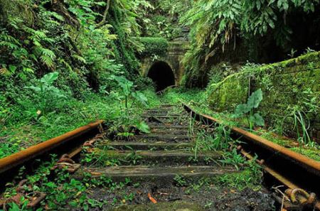 عکس های خیره کننده، وقتی زیبایی می میرد جادو بر می خیزد!