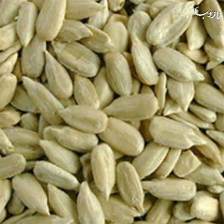 خواص انواع تخمه (عکس)