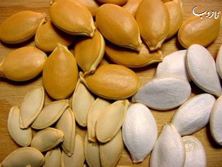 خواص انواع تخمه (عکس)