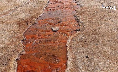 چشمه ای عجیب در ایران (عکس)