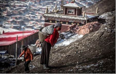 بزرگترین مدرسه دیدنی بودایی روی زمین (عکس)