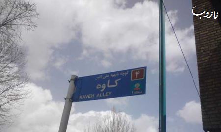 طنز تصویری و با حال ترجمه نام کوچه ها