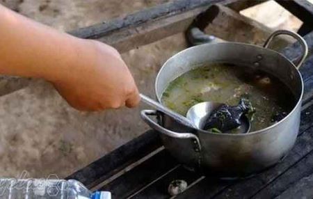 جنجال ماهی شانس و آهنی برای رفع کمبود آهن!! عکس