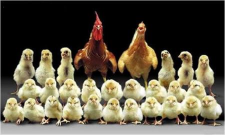 جنجال انتشار عکس های خانوادگی بدون اجازه (عکس) جنجال انتشار عکس های خانوادگی بدون اجازه (عکس)