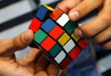 زندگی را این گونه زیبا کنید و لذت ببرید (عکس)