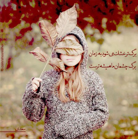 مینی شعرهای تصویری (3)
