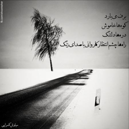 مینی شعرهای تصویری (3)