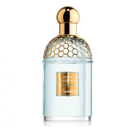 بهترین عطر و ادکلن های خنک کننده برای روزهای گرم (عکس)