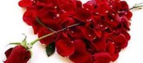 به این می گن زبان عشق!