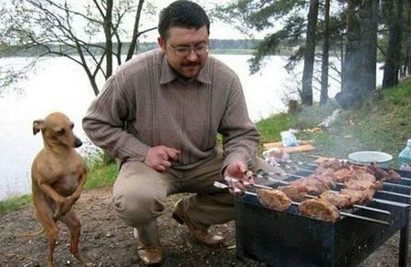 خنده دار ترین عکس و سوژه های جدید ایرانی