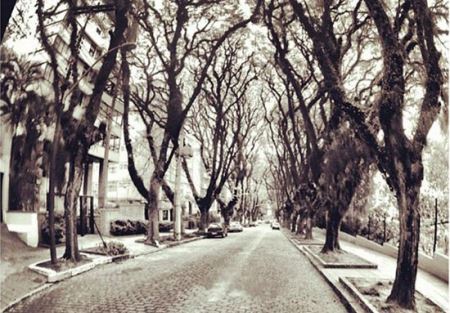زیباترین خیابان های جهان (عکس)