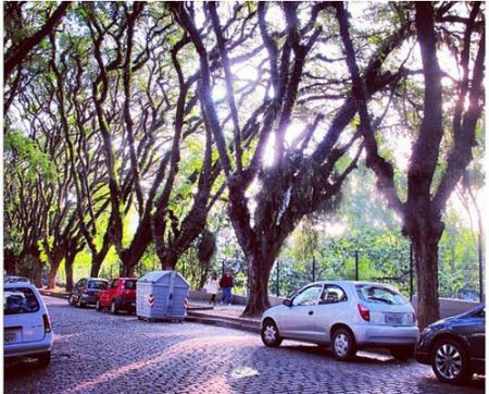 زیباترین خیابان های جهان (عکس)