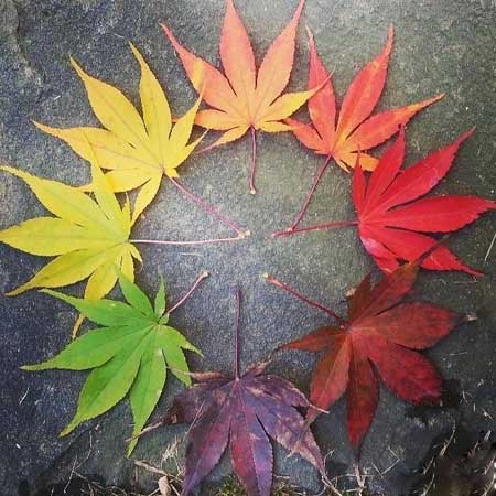 با حال ترین عکس های دیدنی روز