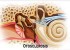 اتواسکلروز چه بیماری است؟