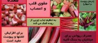 خواص باورنکردنی ریواس