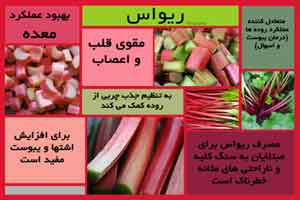 خواص باورنکردنی ریواس خواص باورنکردنی ریواس