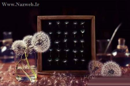 ماجرای جالب و دیدنی میز کار من (1) عکس