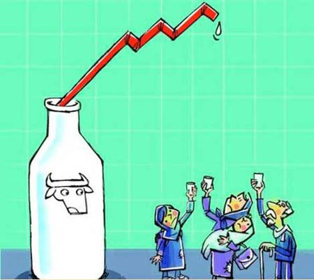 کاریکاتورهای بسیار جالب تورم لبنیات