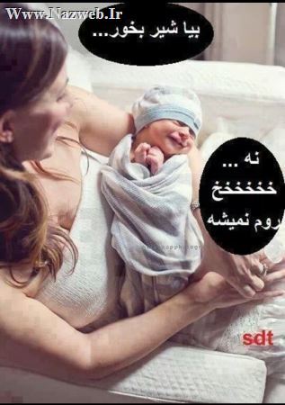 خنده دار و جدیدترین ترول های ایرونی