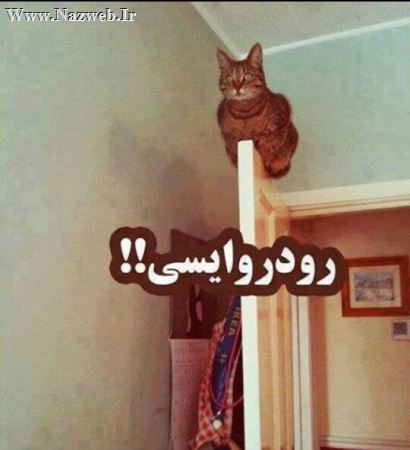 خنده دار و جدیدترین ترول های ایرونی