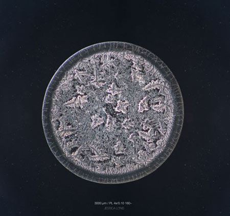 دنیای باورنکردنی میکروسکوپی قطرات اشک!