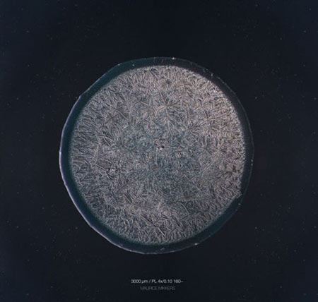 دنیای باورنکردنی میکروسکوپی قطرات اشک!