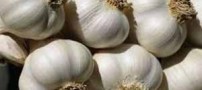 اثر شگفت انگیز سیر بر اعصاب