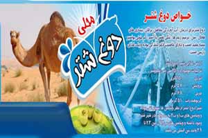فروش عجیب دوغ شتر ! عکس فروش عجیب دوغ شتر ! عکس