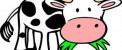 متن انشایی که جایزه بهترین انشاء ایران را گرفت